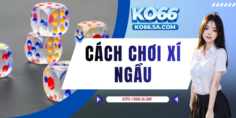 Cách chơi xí ngầu